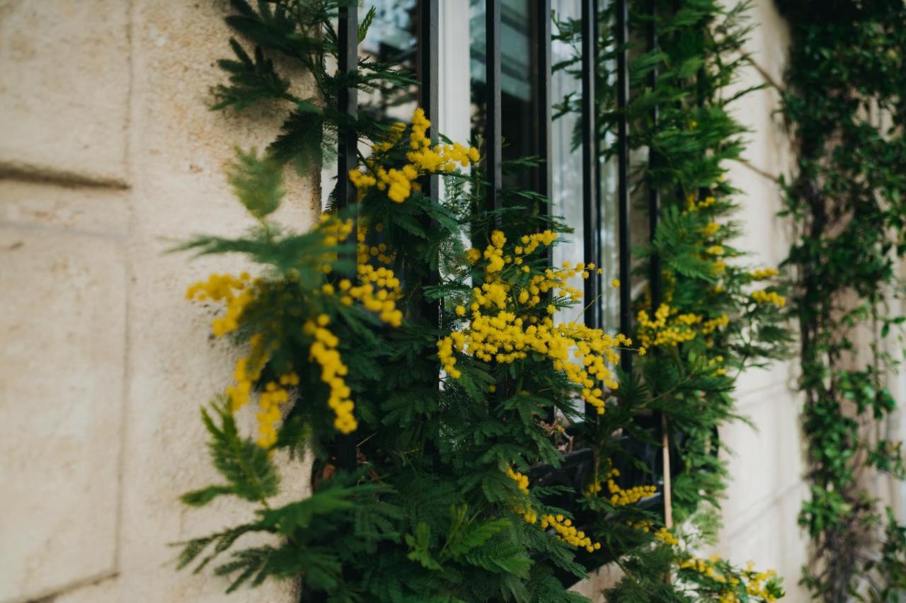 La Belle Endormie B&B French Guest House Bordeaux Zewnętrze zdjęcie
